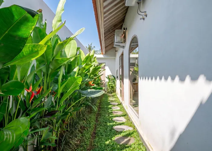 Bambola - Spacious Patio With Large Private Pool Villa Canggu (Bali)
